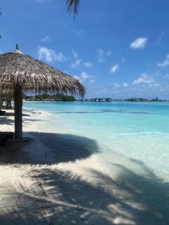 I really am in paradise at the moment. I’m in the Maldives and it is beautiful. The sea is so blue and warm and every day I’m swimming with the tropical fish and baby sharks! 
A bit of an overload of photos as I couldn’t help myself.
1,2,3. are where we are staying. 
4. hearts of of all the weddings, anniversaries and birthdays etc
5. Beautiful blooms
6. Local artwork
7. A heron who keeps us all entertained
8. My current read
9. Bats crossing
10.  Always a little EPP on the go